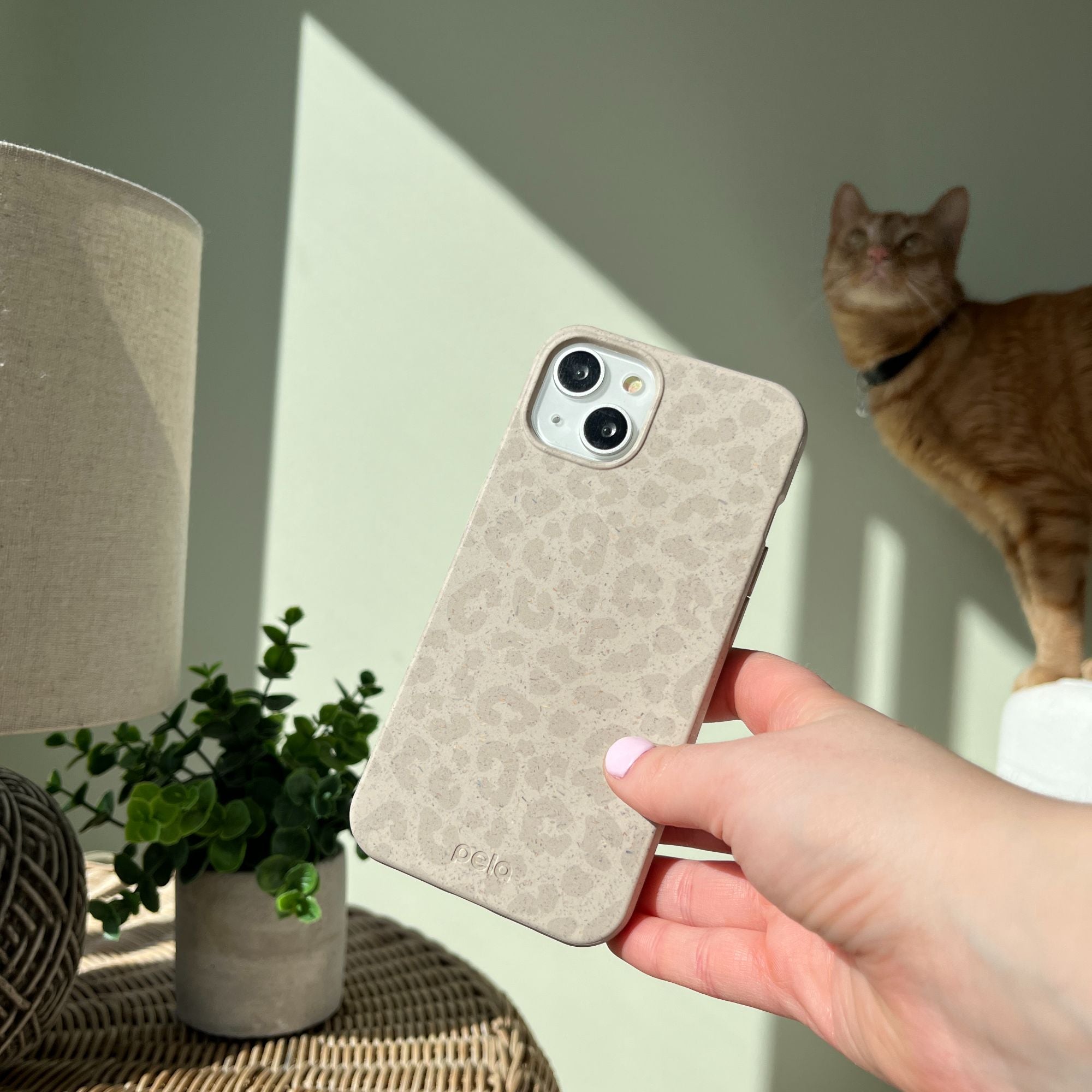 559D809E-775B-41BC-A2BE-B25E1F34A03B_a4e2d945-5f94-416f-9eef-3260566bf5b2