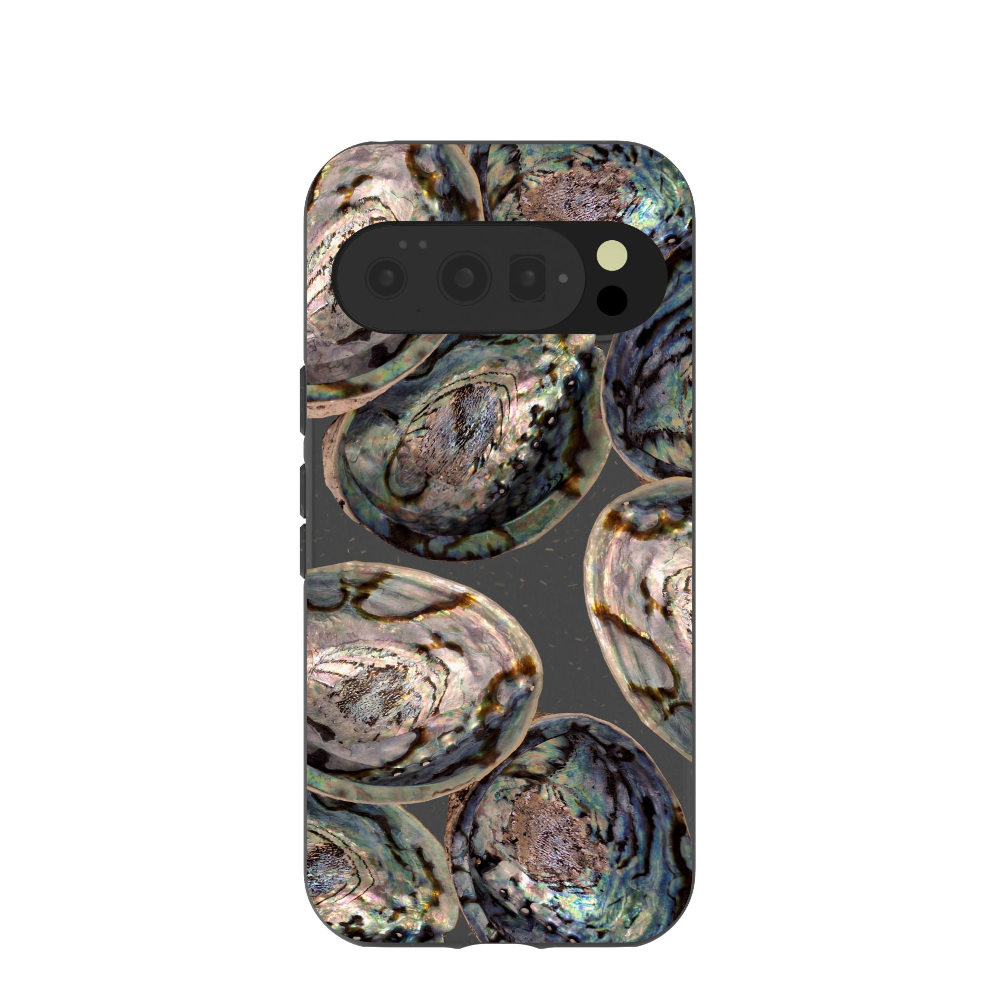 ABALONE-SHELLS_PX10_Black
