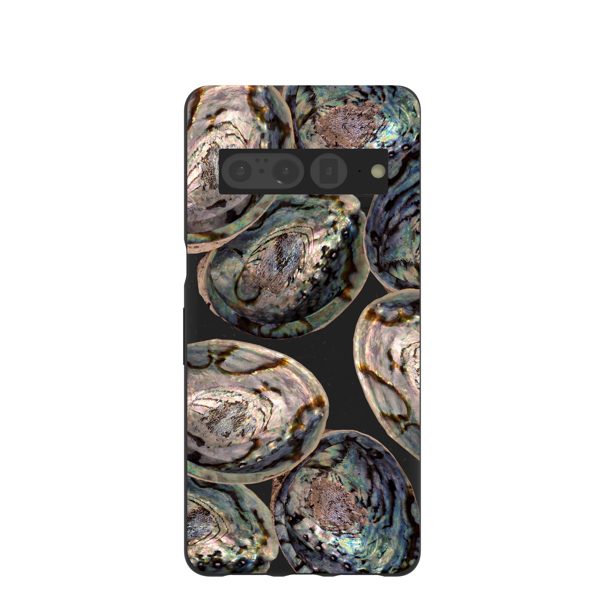 ABALONE-SHELLS_PX7P_Black