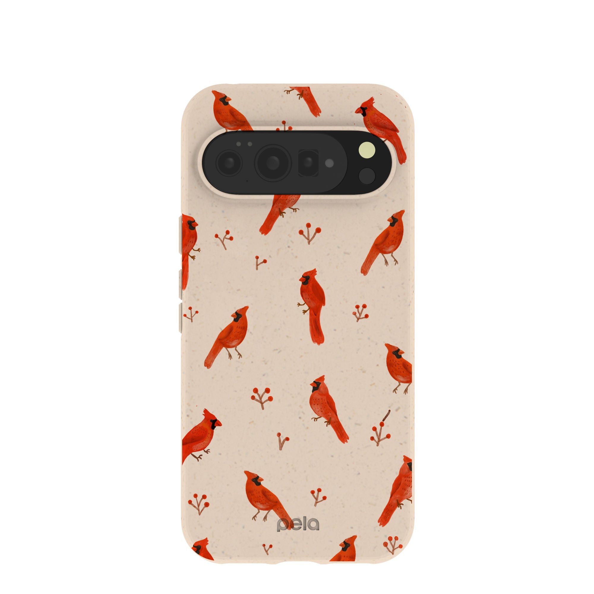 CARDINALS_PX10PXL_Seashell