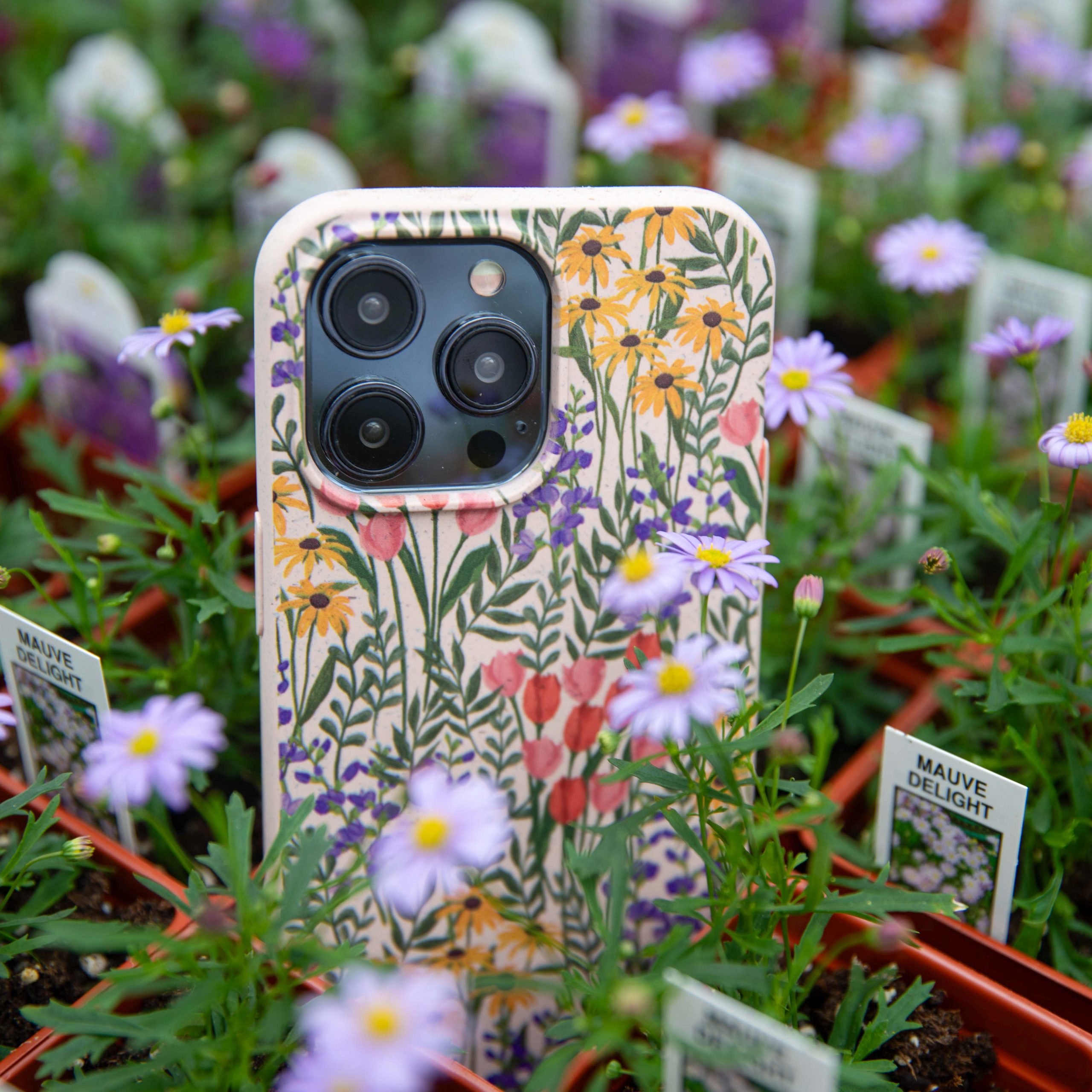 Flowers_FlowerField_PDP_02_d1fed793-4485-43b1-921e-8279b07ea196