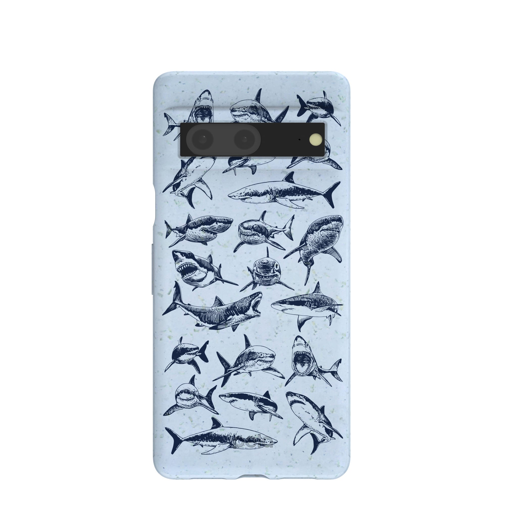 GREAT-WHITE_PX7_PowderBlue