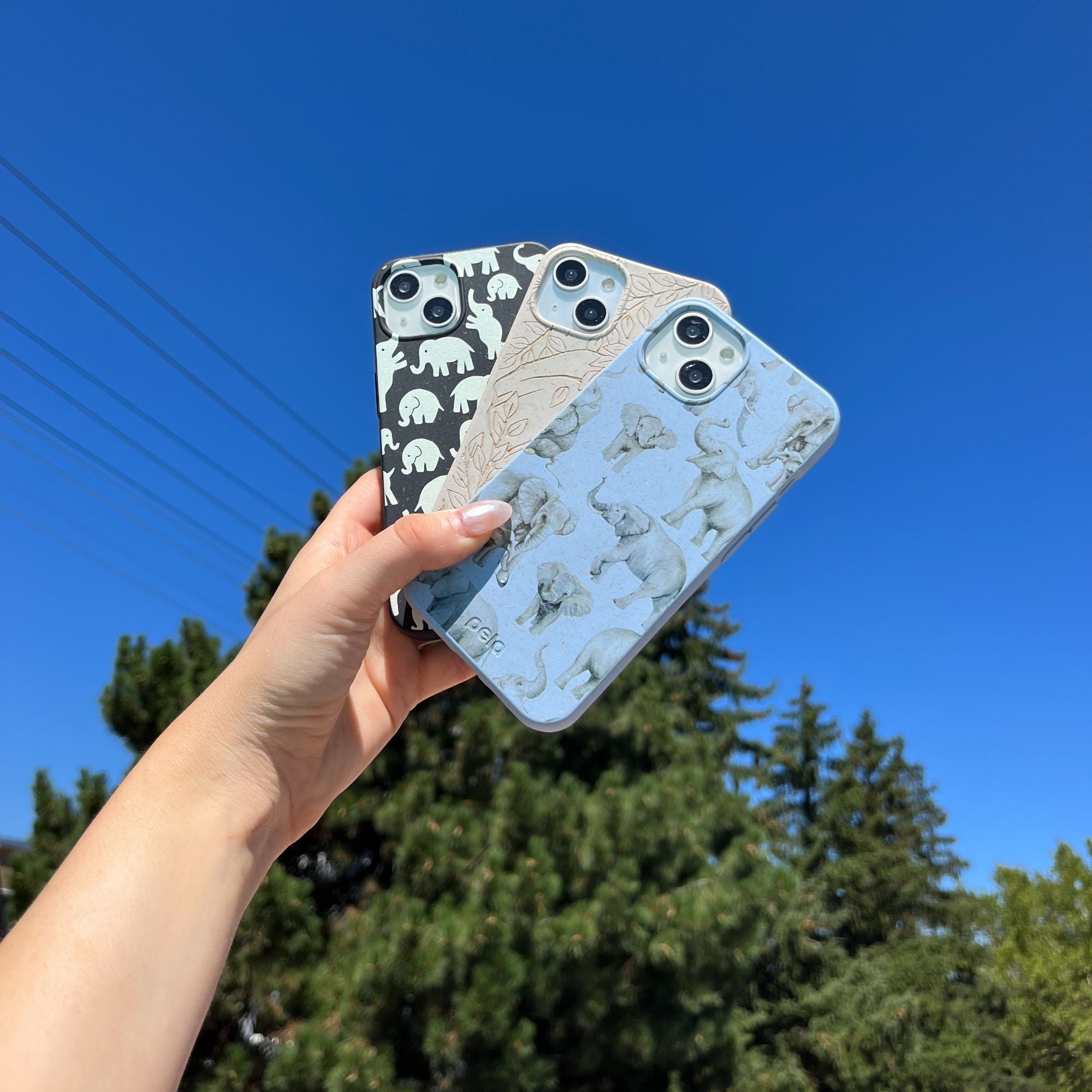 IMG_1262_5915f3f3-cb06-4503-a44c-40e69793e555