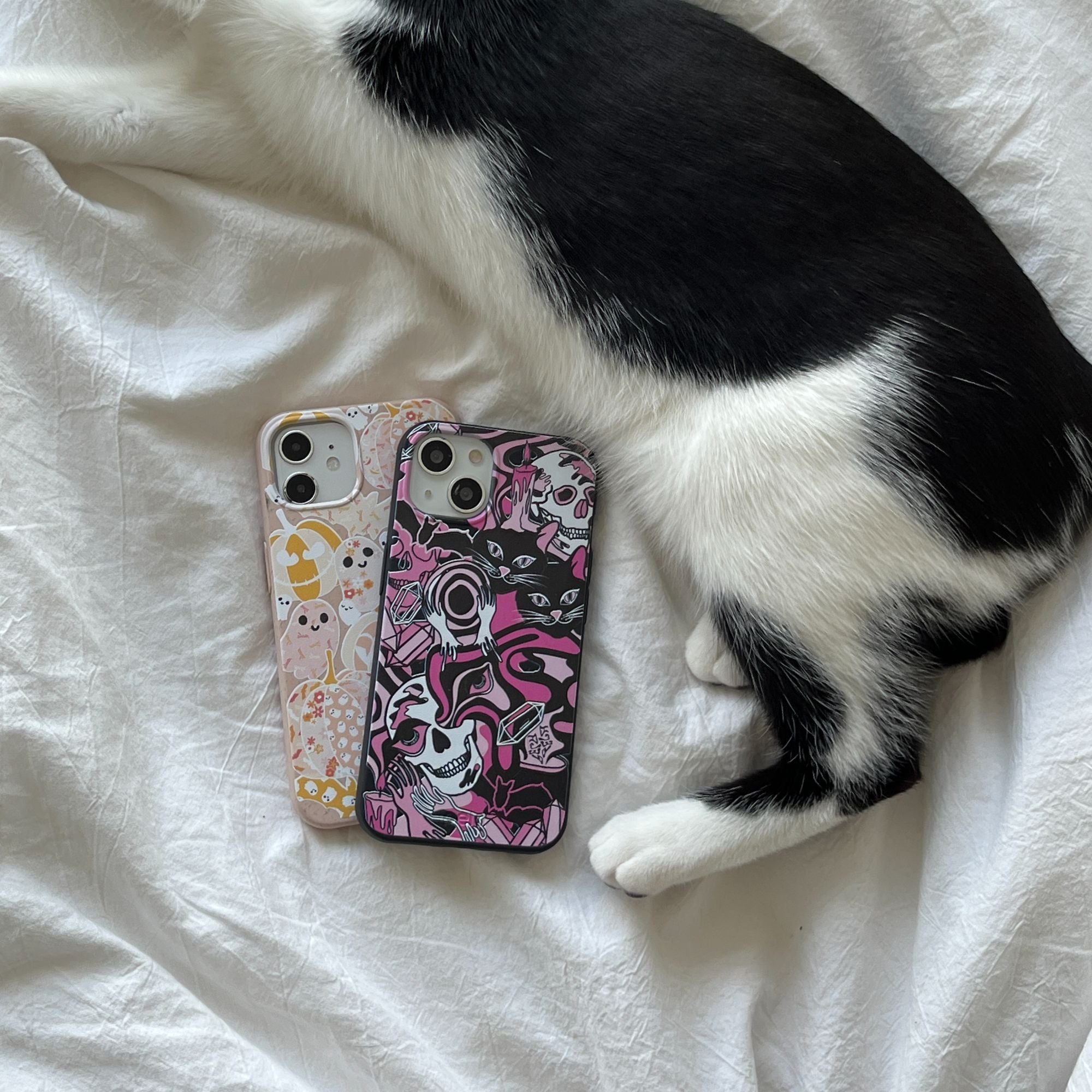 IMG_2260_a1b2e550-e450-43fc-8eb8-1904c4a8136e