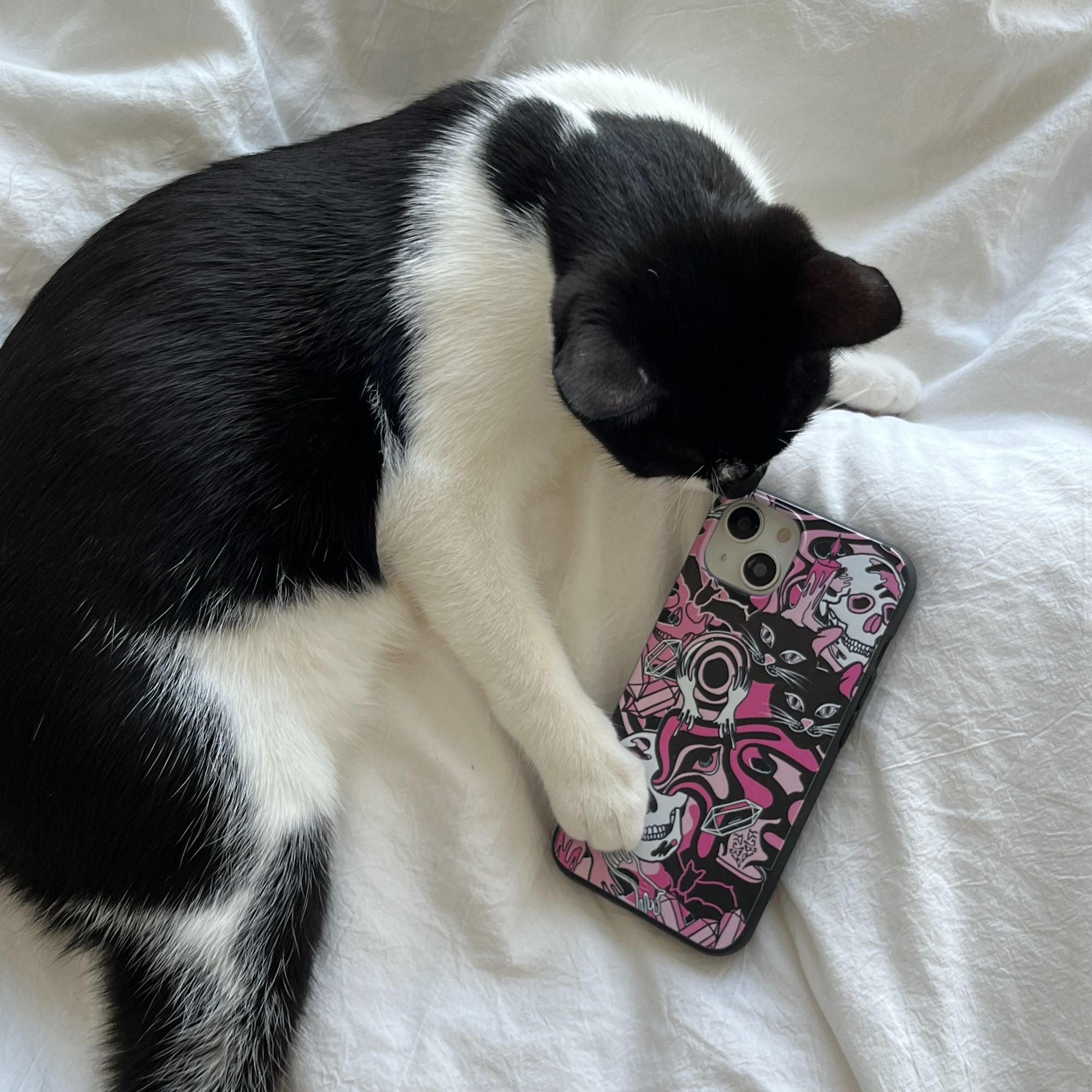 IMG_2265_29d17fc6-d759-4611-aa48-1ef54d6d4686