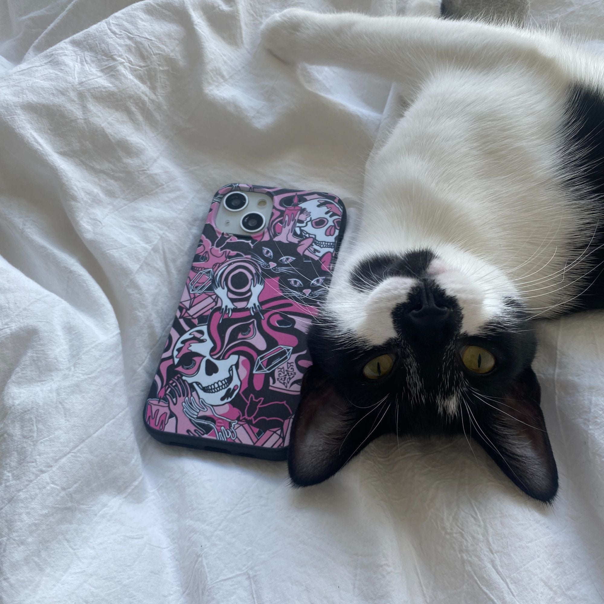 IMG_5265_d332d07a-fa3c-4240-b78c-d6bd3cda1828