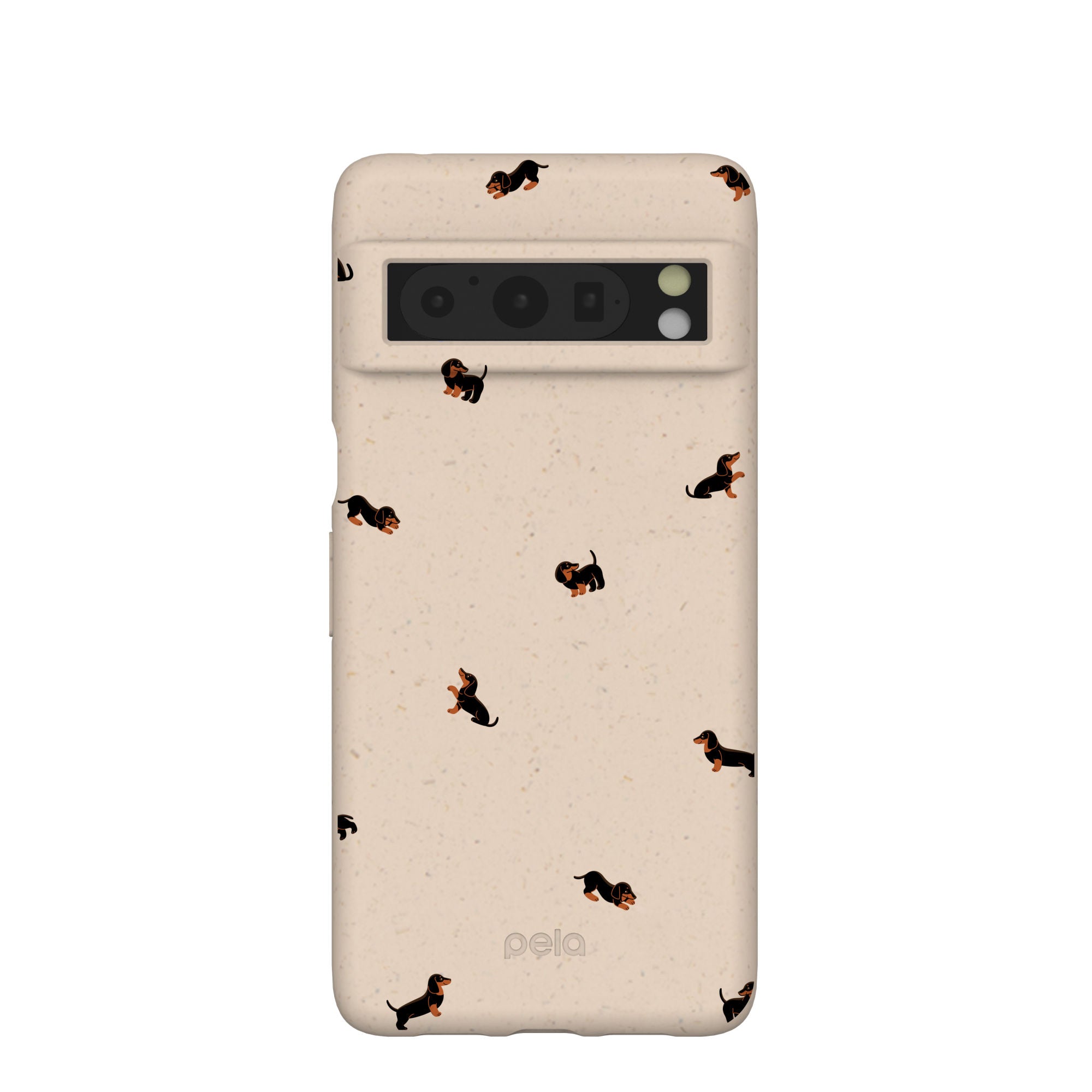 LIL-DACHSHUNDS_PX8P_Seashell