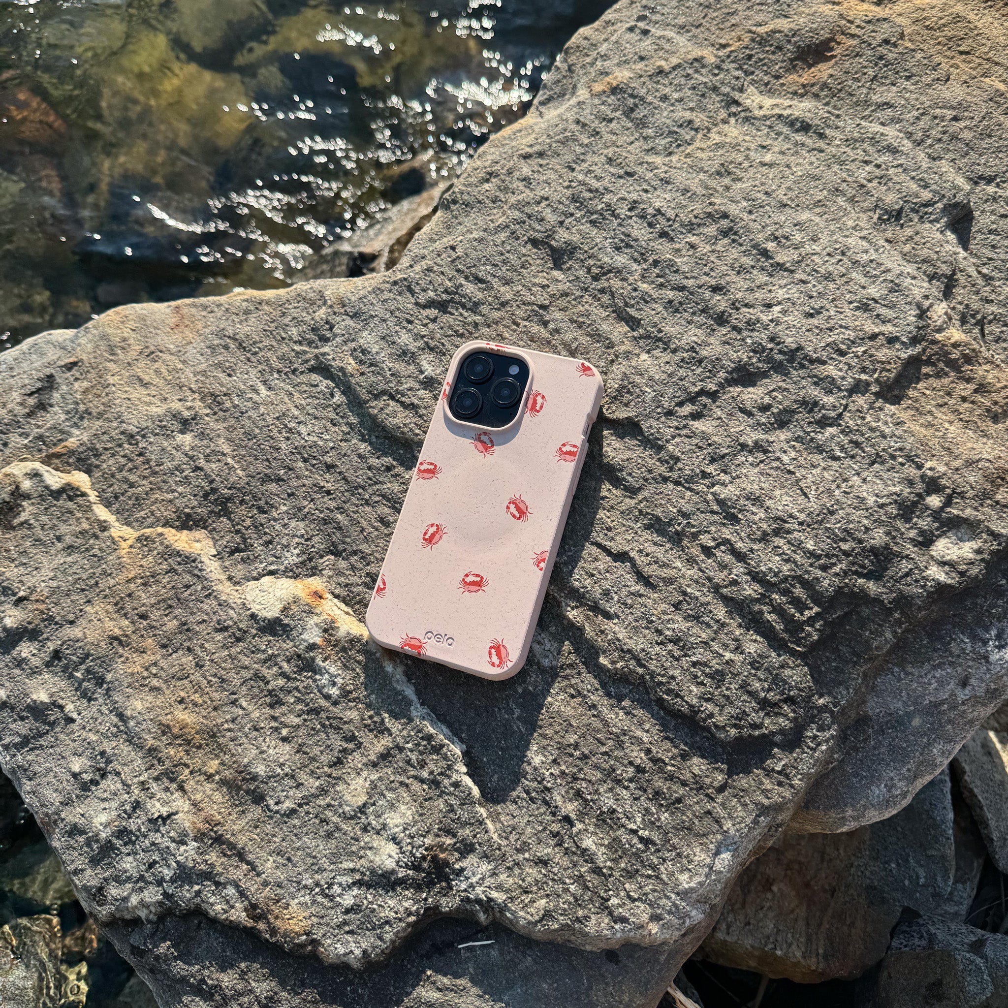 LILCRABBY_SEASHELL-2_b94b7ff6-41e8-4f83-8784-870e63ed9f85