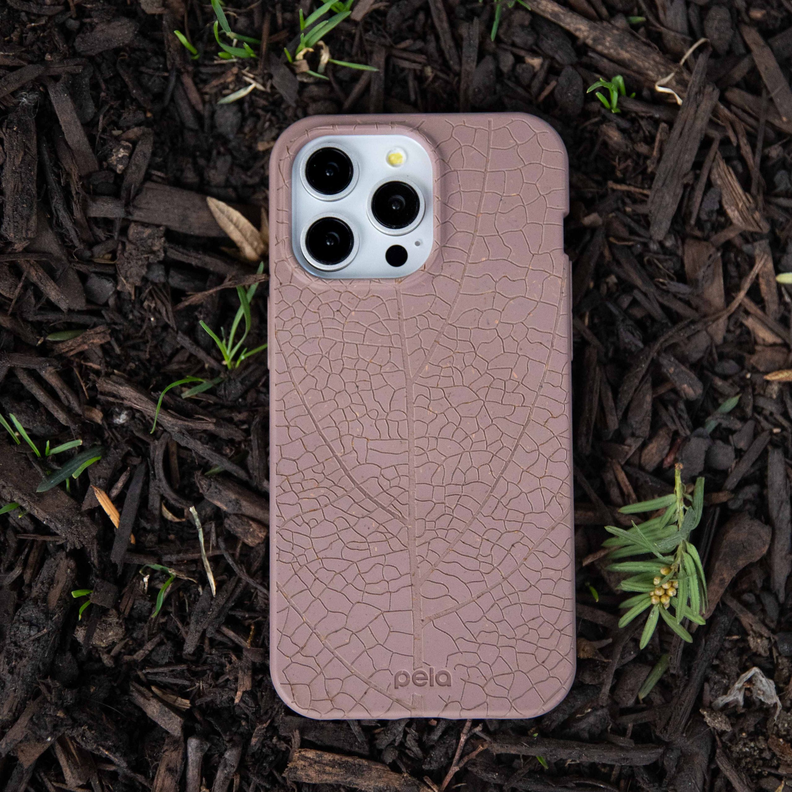 LeafVeins_PDP3_39474494-fe05-41af-bcac-5e0eba48f631