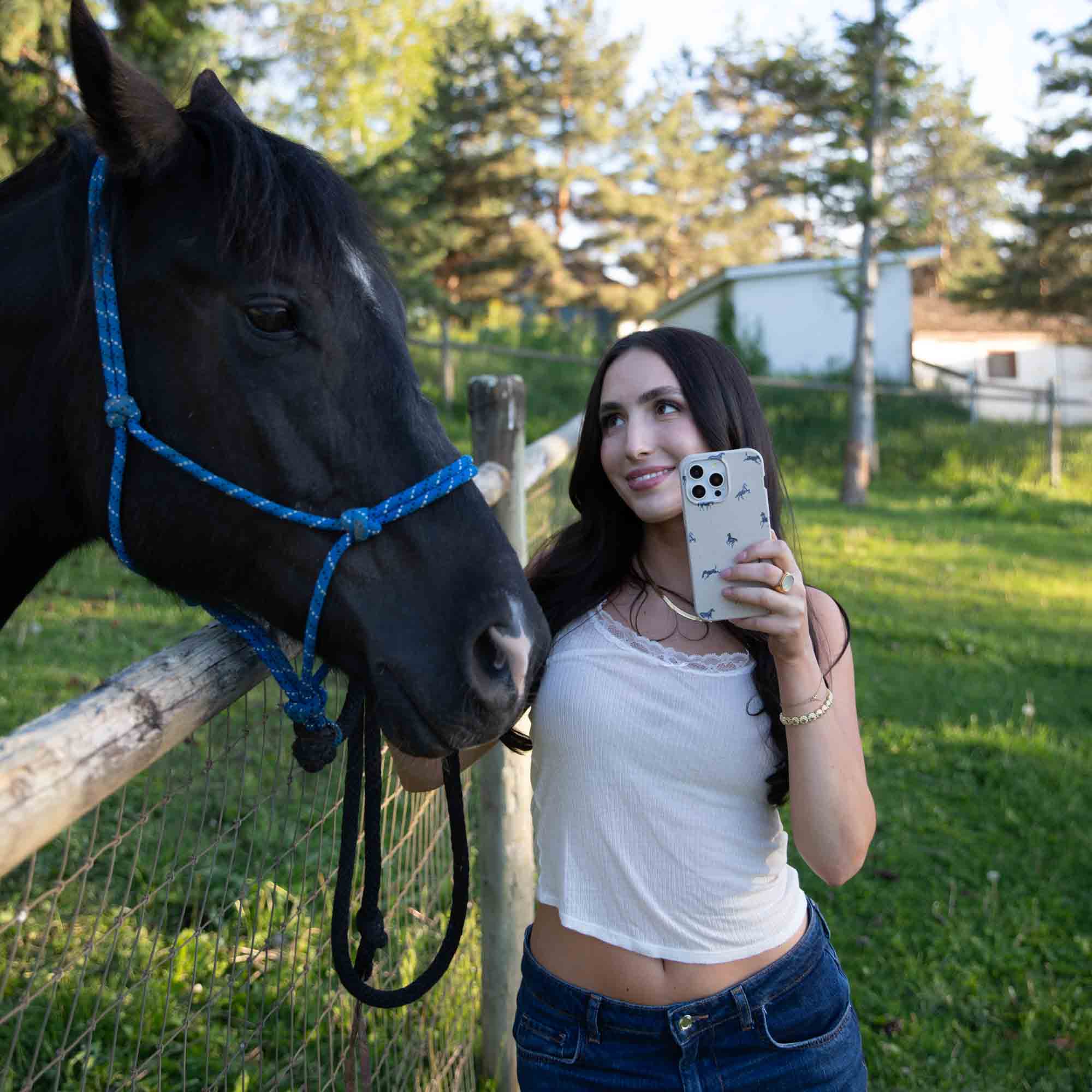 MINIHORSES_LFOG-1-3_184f855f-4475-4dd7-a8a6-c011af445f5a