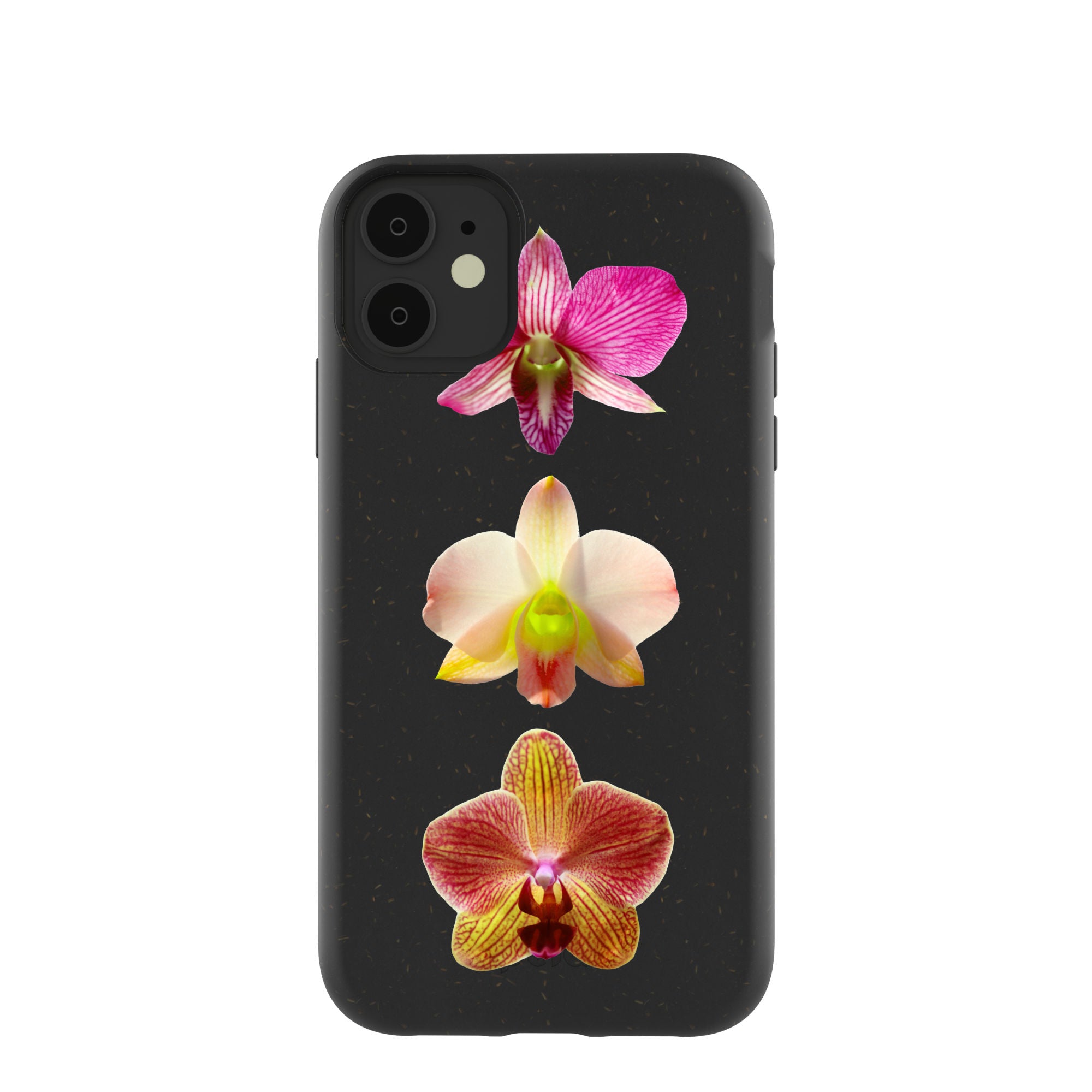 ORCHIDS_IP11_Black