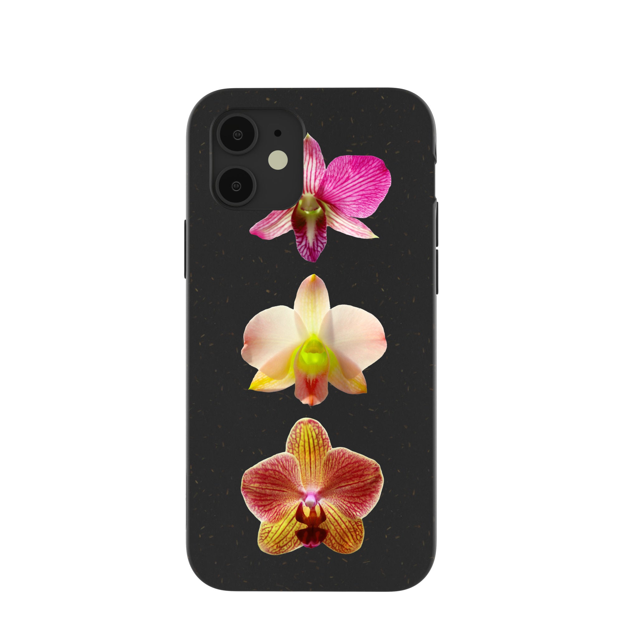 ORCHIDS_IP12_Black