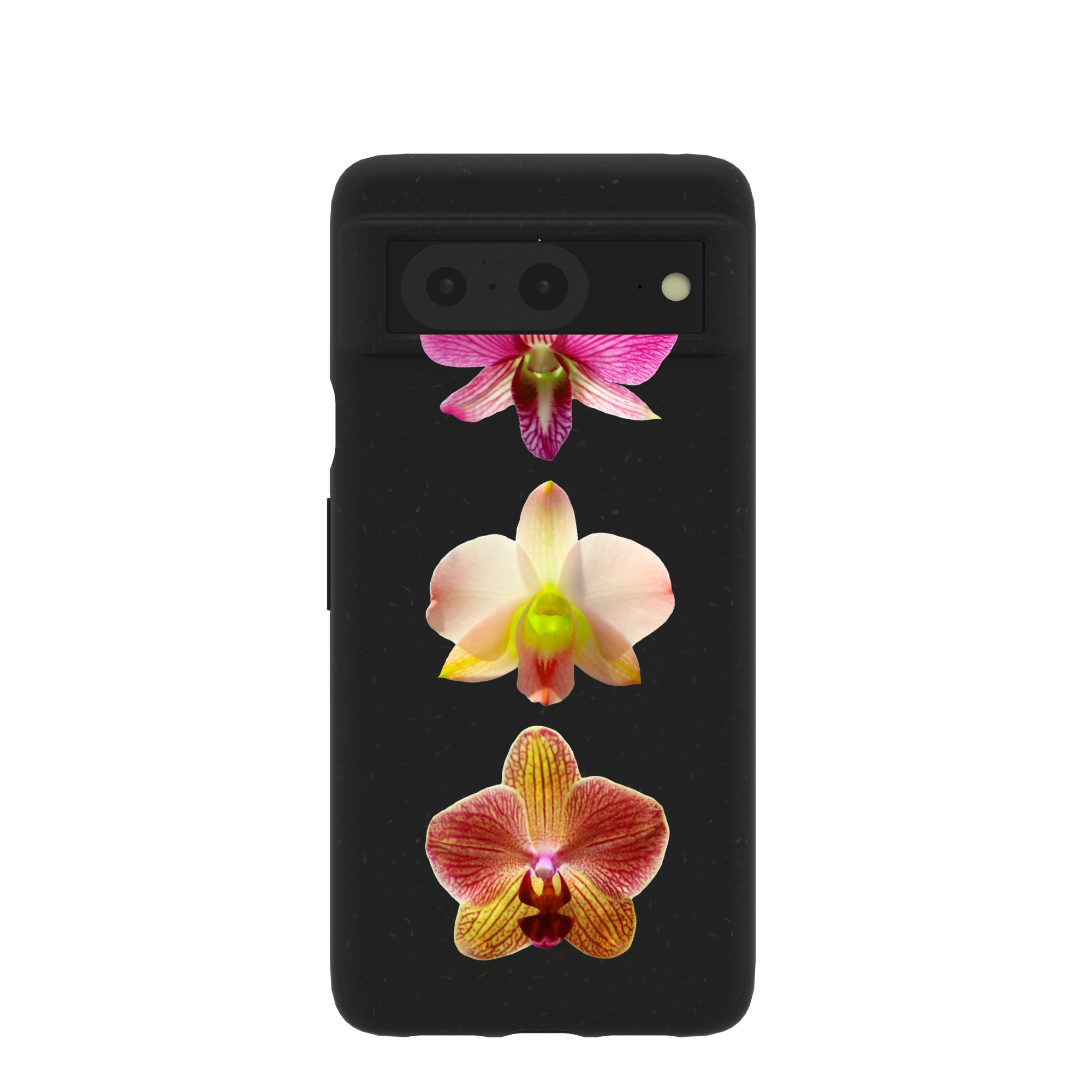ORCHIDS_PX8_Black