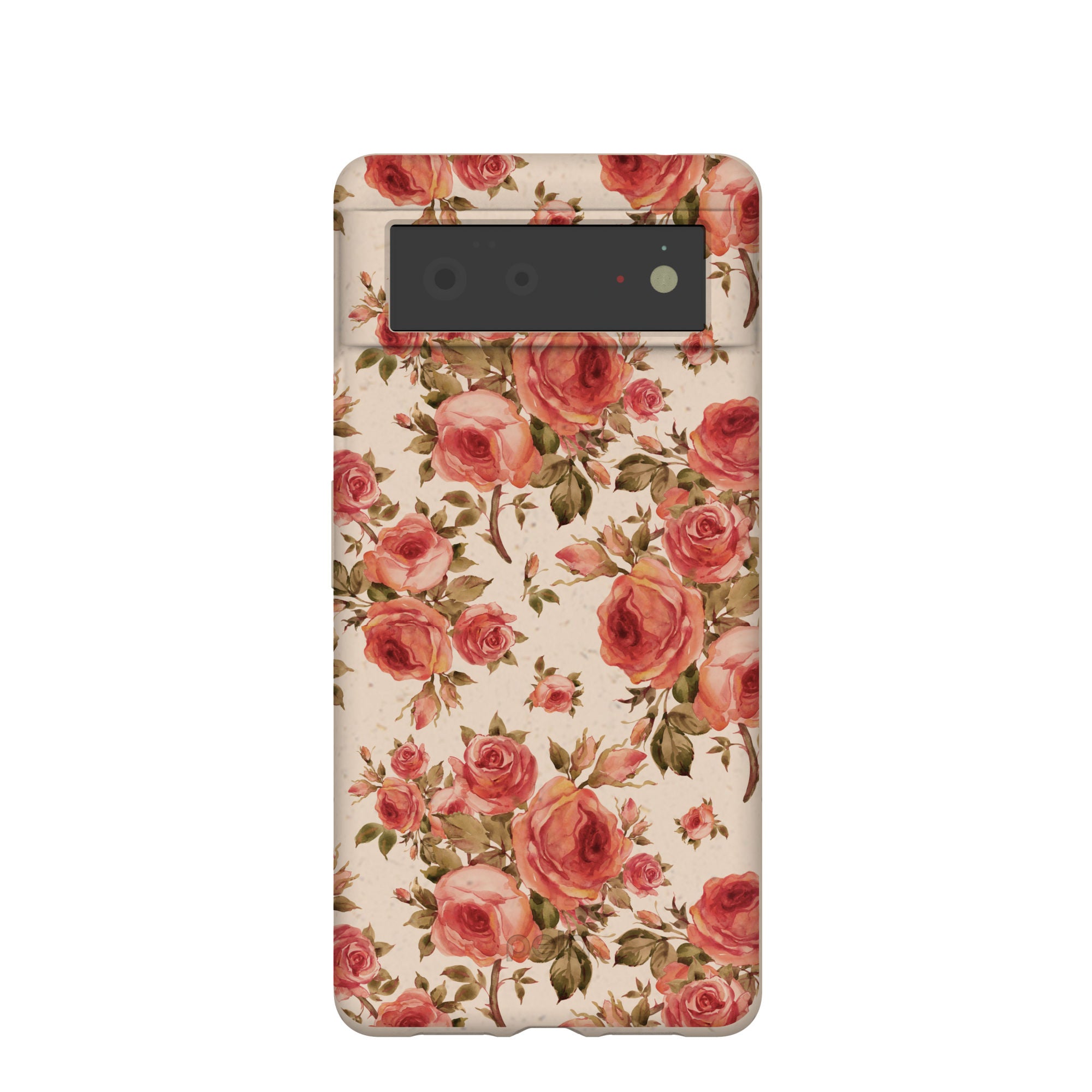 ROSE-GARDEN_PX6_Seashell