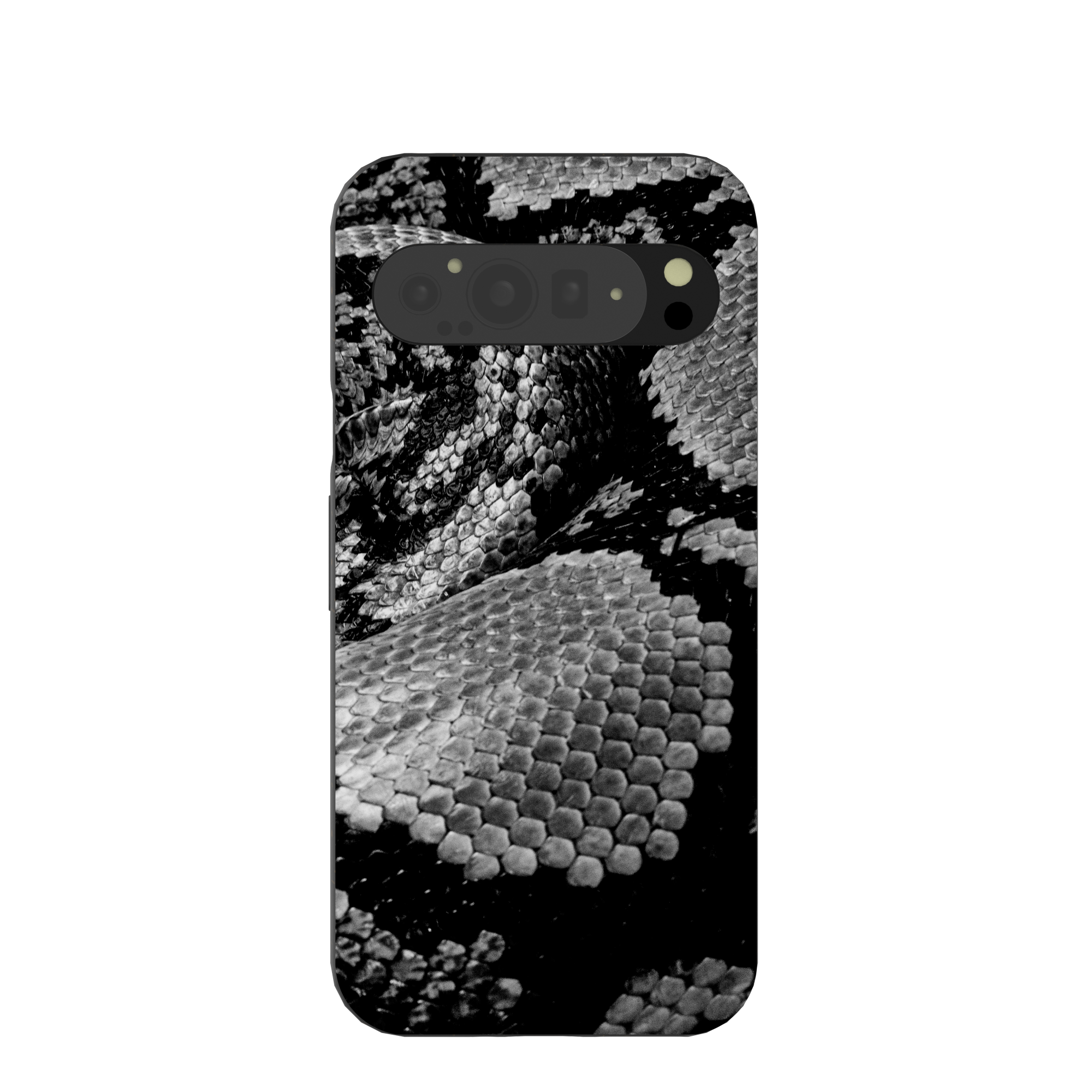 SNAKE-SCALE_PX9PXL_Black