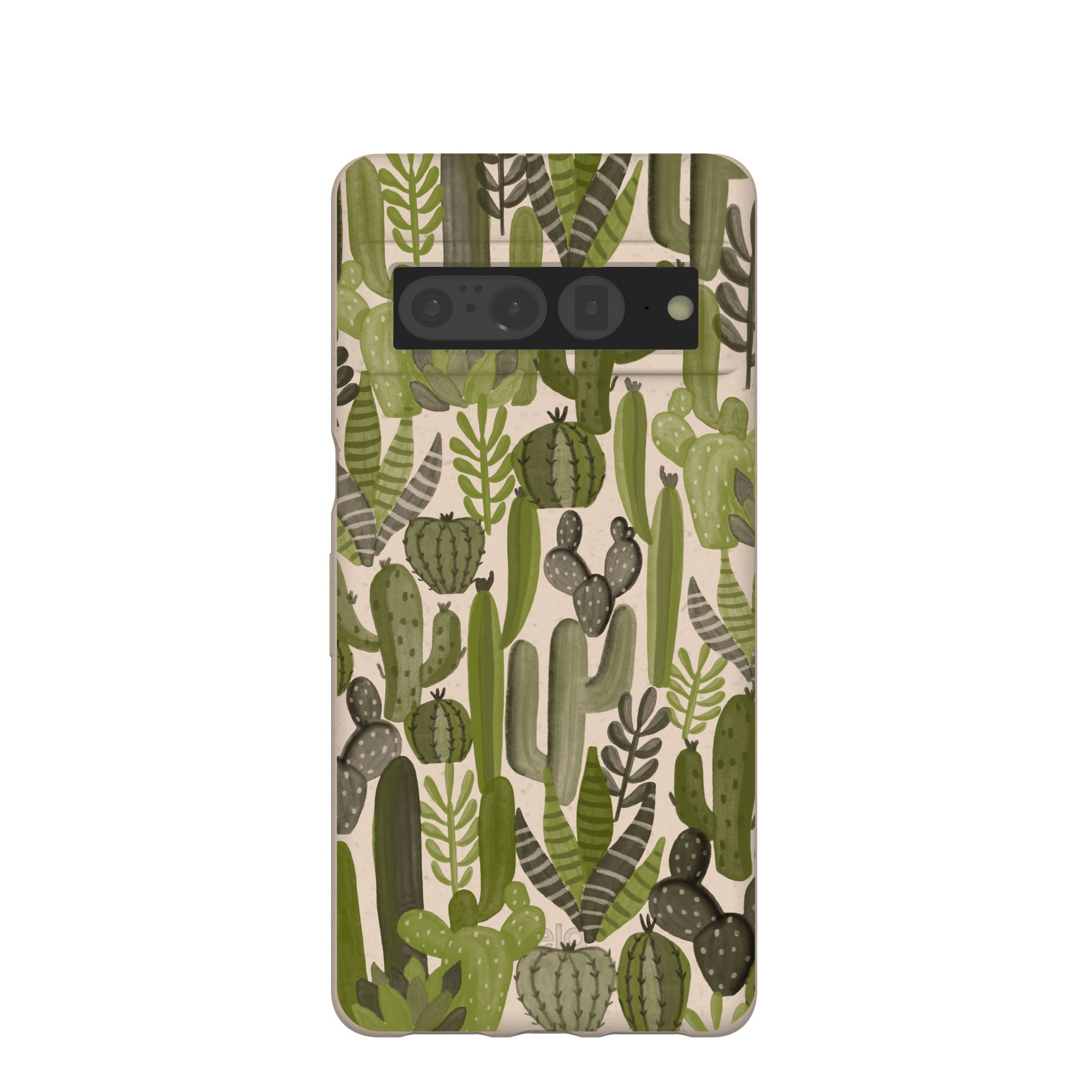 SUCCULENT-CACTI_PX7P_Seashell