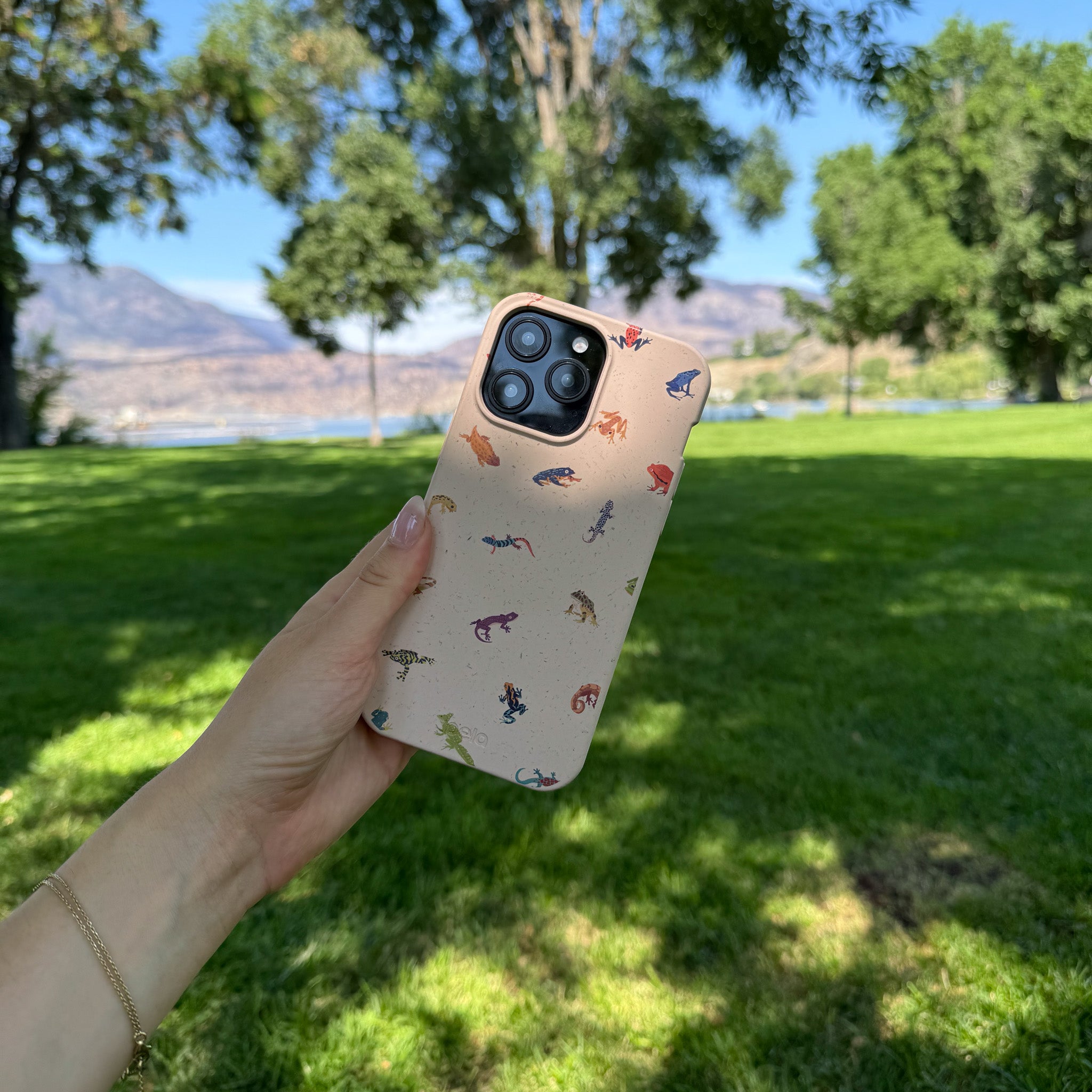 TINYAMPHIBIANS_SEASHELL-1_c67a46c0-f64e-4a92-9472-312a7f4f0655