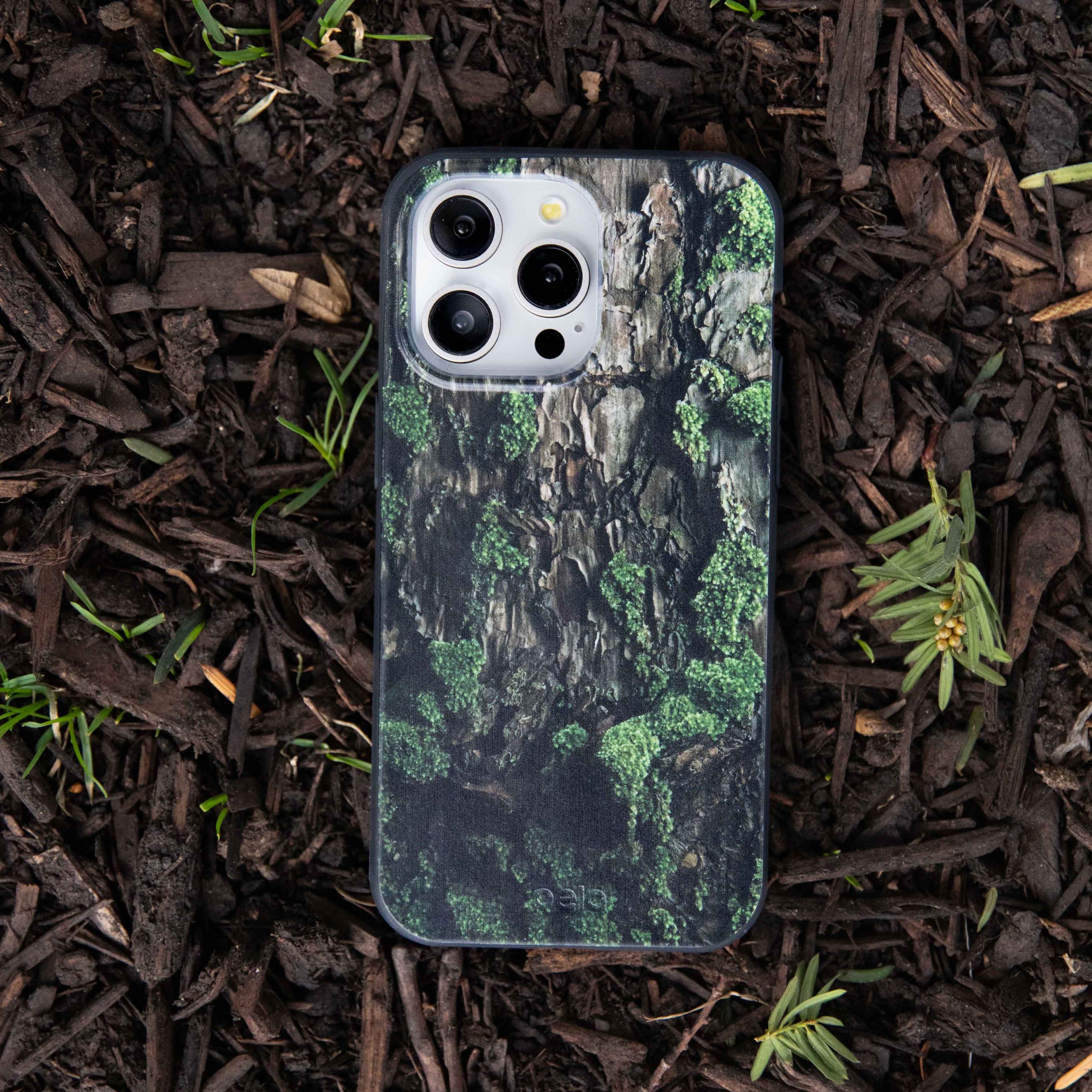 TreeBark_PDP3_88b0dd6e-a05c-4644-9dc7-0348e71e7b2b