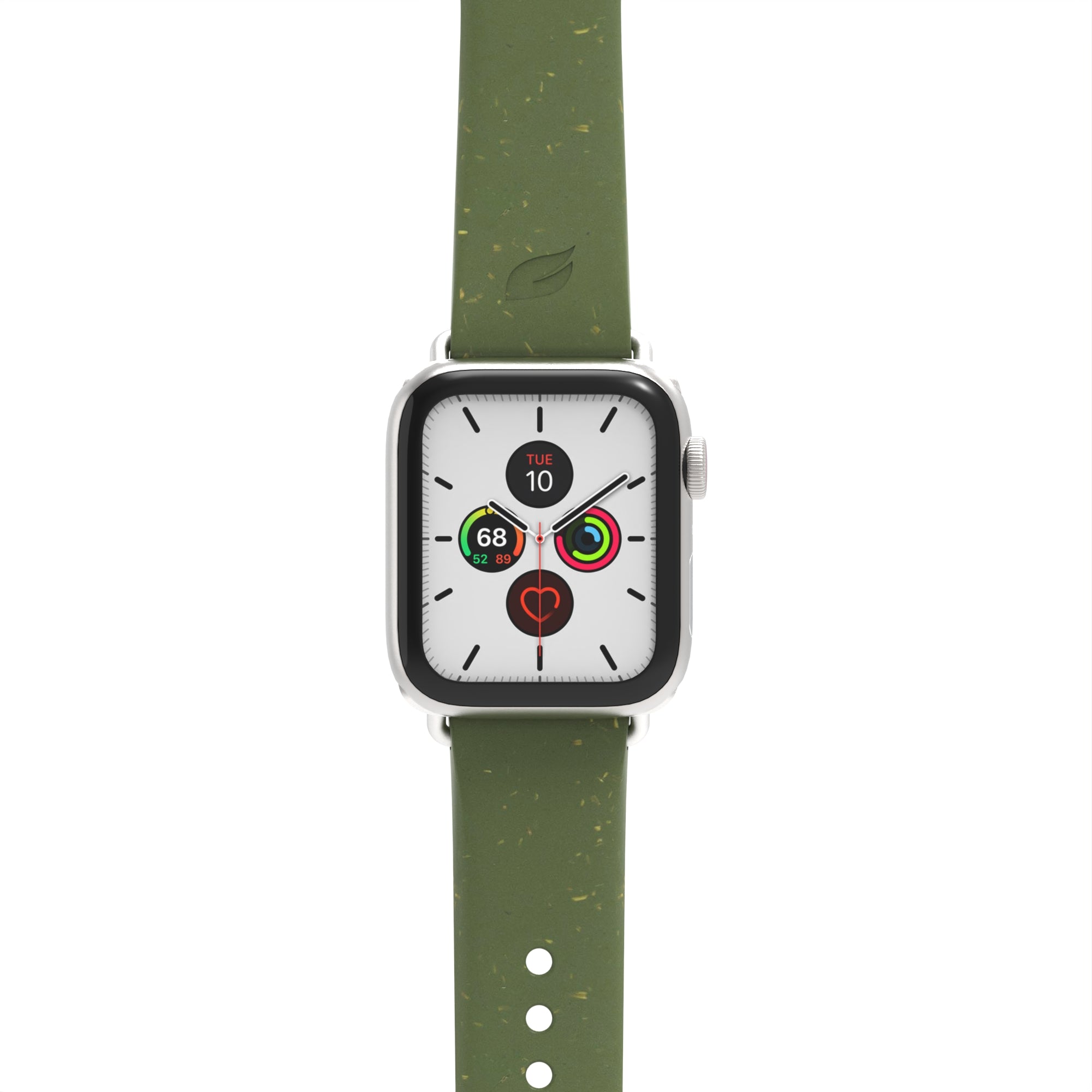 VINE_40_38_FORESTFLOOR_1