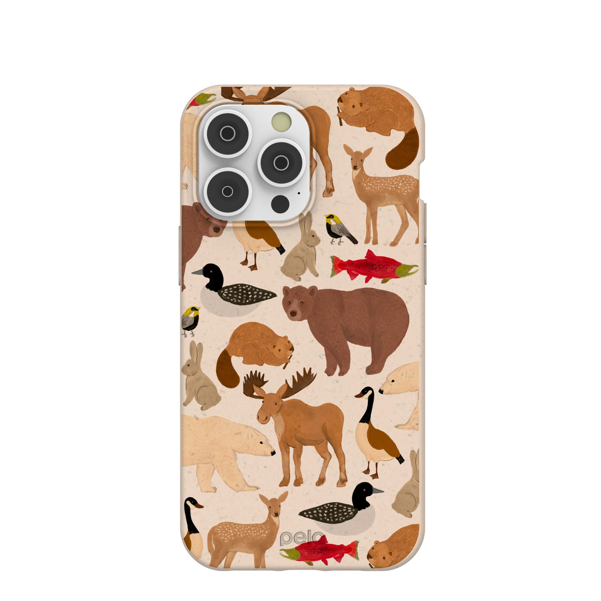 WILD-CANADA_IP14PMAX_Seashell